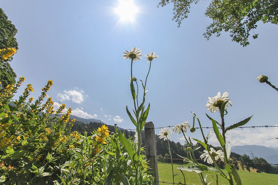 Aussicht